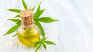 CBD Oil with Marijuana Plant