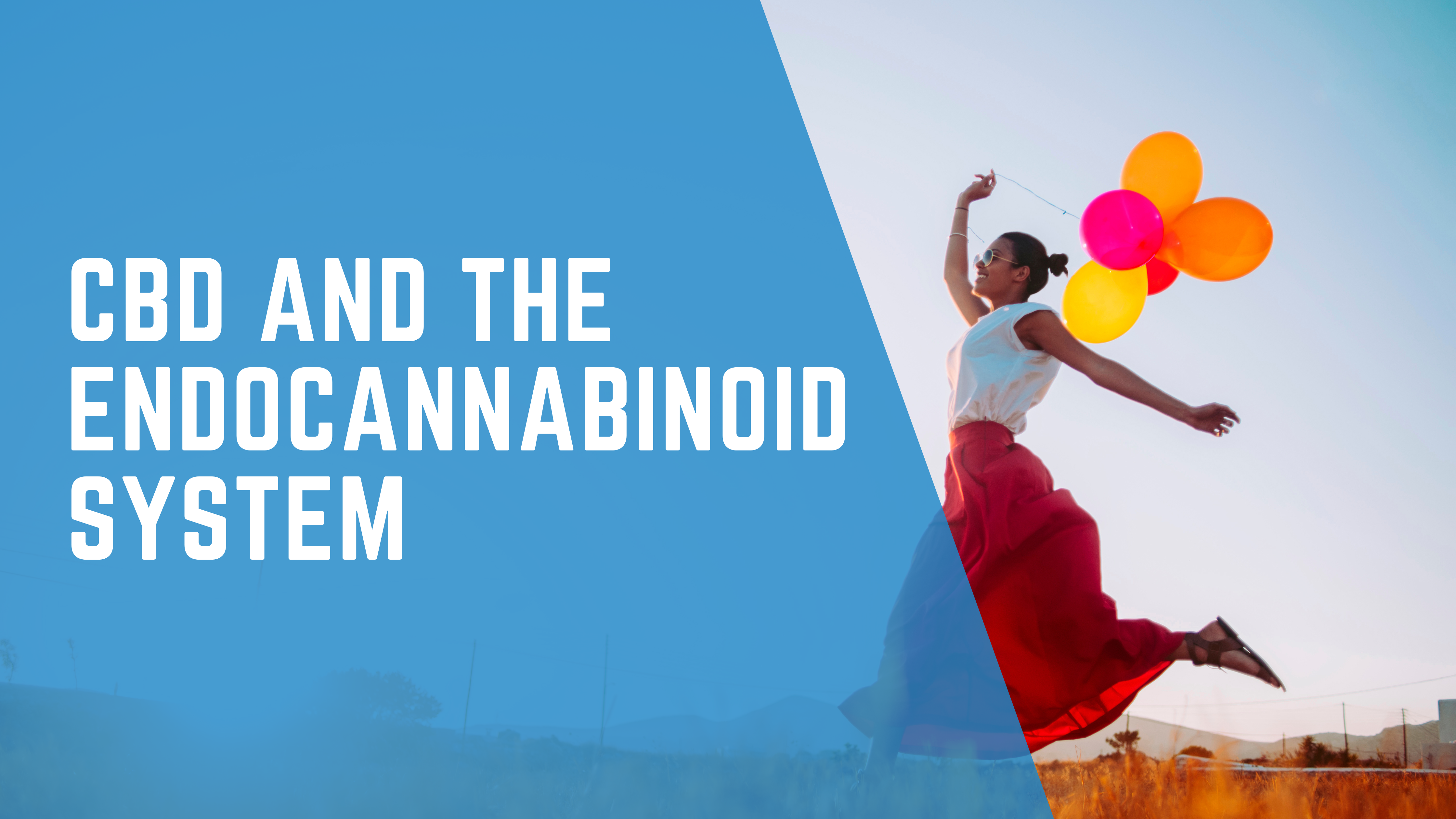 CBD And The Endocannabinoid System: Unlocking The Secrets Of How Our ...